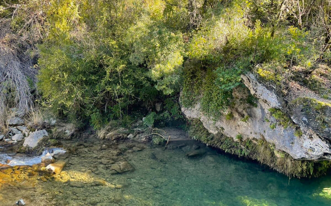 Ruta del río Borosa - Casa Rural El Rincón de Elena