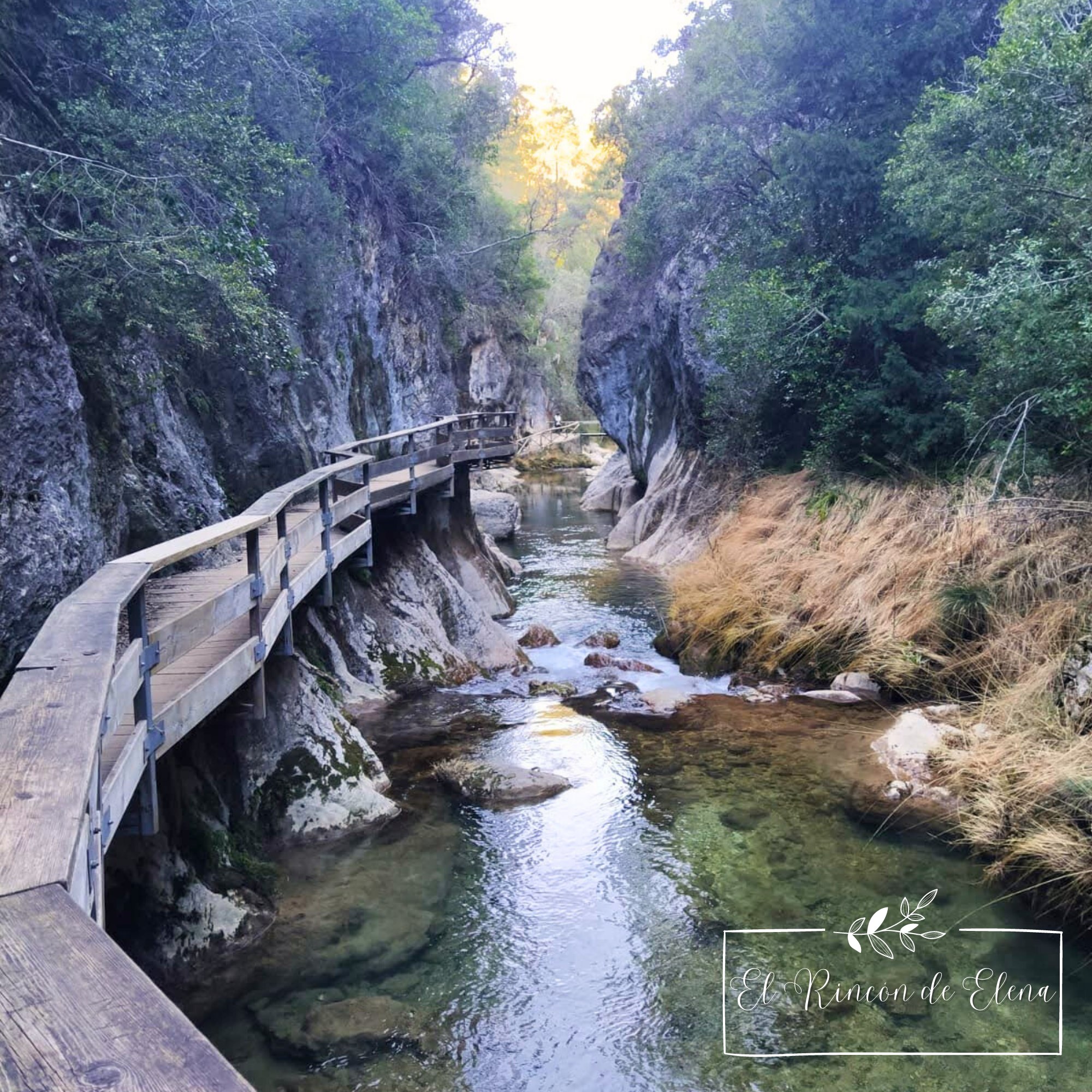 ruta del rio borosa en sierra de cazorla