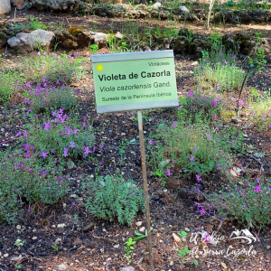 Escapada Rural TORRE DEL VINAGRE