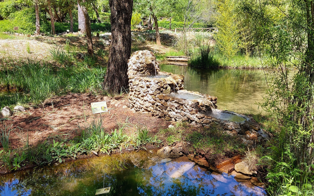 Jardín Botánico Torre del Vinagre