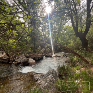 Río Aguamula