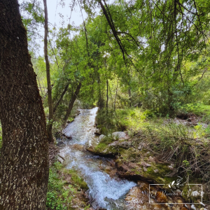 Río Aguamula