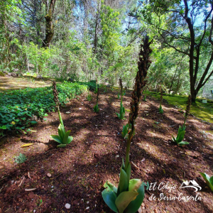 Escapada Rural TORRE DEL VINAGRE