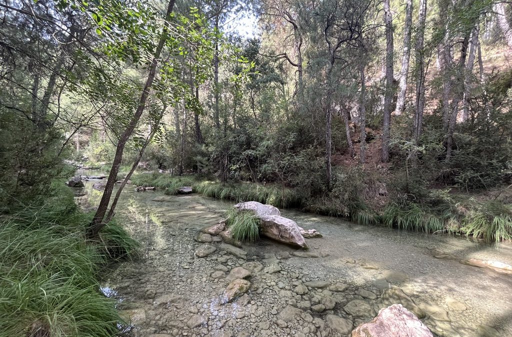 El tiempo en Cazorla