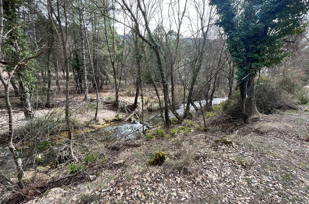 Turismo en Arroyo Frío