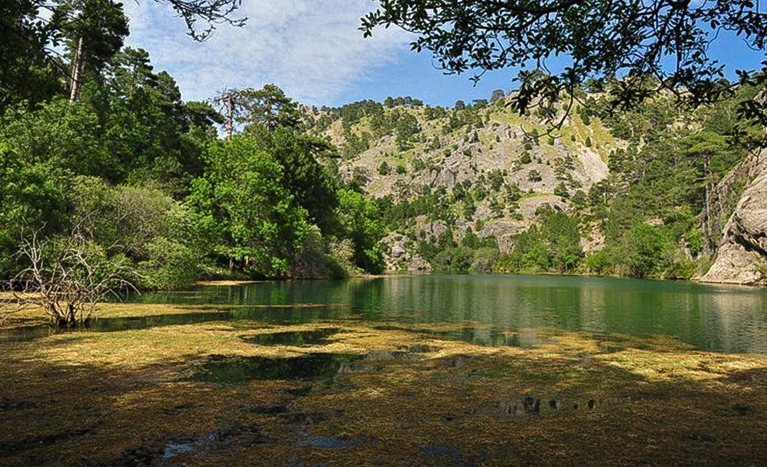 ¿Buscas una laguna en Cazorla? La mejor laguna permanente de la provincia